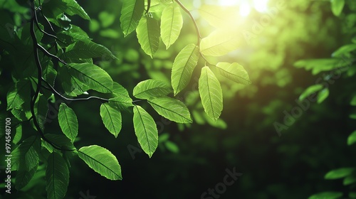 Close-up view of vibrant green leaves with sunlight shining through, creating a serene and refreshing atmosphere in nature. photo