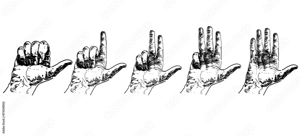 hands counting from one to five on fingers gesture sign language linear relistic vector illustration person isolated on white background hands counting from one to five on fingers gesture sign language linear relistic vector illustration person isolated on white background