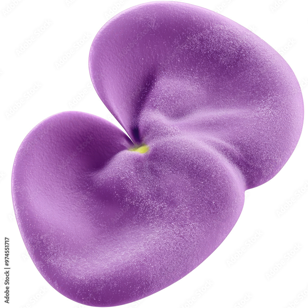A vibrant purple petal showcasing delicate textures and a smooth surface. cut out, PNG, isolated on transparent background. A vibrant purple petal showcasing delicate textures and a smooth surface. cut out, PNG, isolated on transparent background.