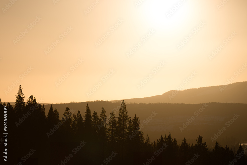 Fototapeta premium The low winter sun creates a soft backlight over a wooded mountainside in the Swedish mountains.