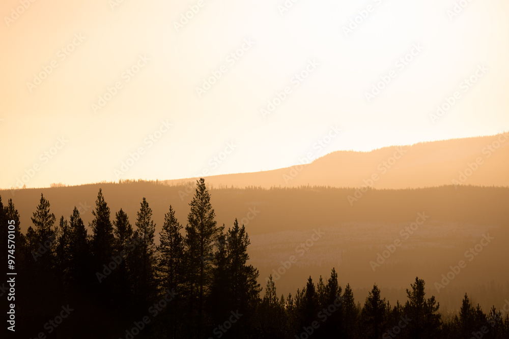 Obraz premium The low winter sun creates a soft backlight over a wooded mountainside in the Swedish mountains.