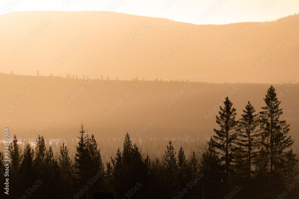 The low winter sun creates a soft backlight over a wooded mountainside in the Swedish mountains. The low winter sun creates a soft backlight over a wooded mountainside in the Swedish mountains.