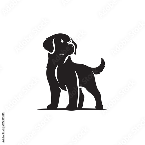 Dogs silhouette collection. Vector illustration of funny cartoon different breeds dogs in trendy flat style. Isolated on white.