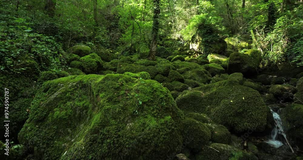 The Pecher spring, Florac, the Cevennes National park, Lozere dpartment, Occitania, Southern France The Pecher spring, Florac, the Cevennes National park, Lozere dpartment, Occitania, Southern France
