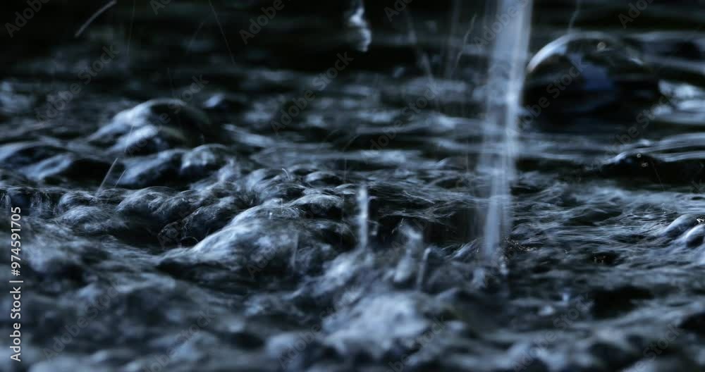 Running fresh water from a faucet. Running fresh water from a faucet.
