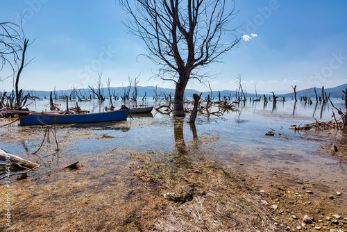 Dried trees and boats on the shore of Doiran Lake, Greece photo