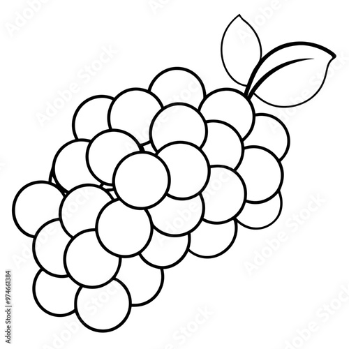 various grapes outline coloring book page line art drawing