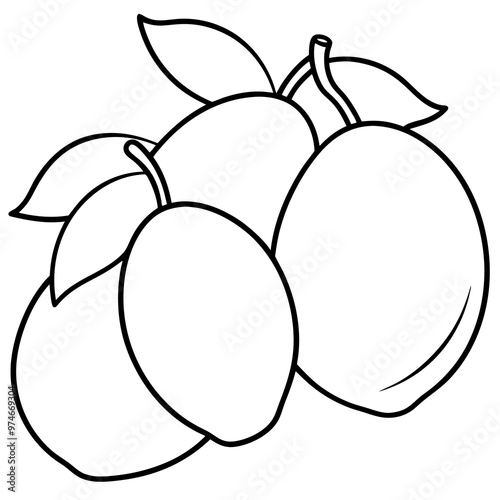 various mangoes outline coloring book page line art drawing