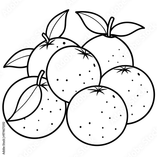 various oranges outline coloring book page line art drawing