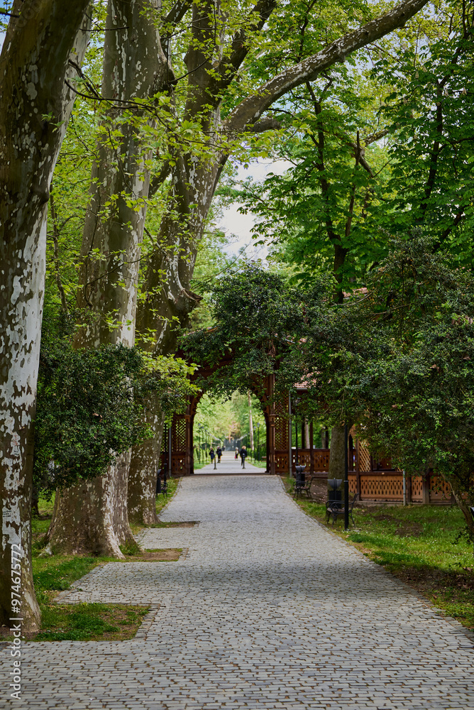 Obraz premium Path in the park in Buzias with lots of greenery and huge plane trees
