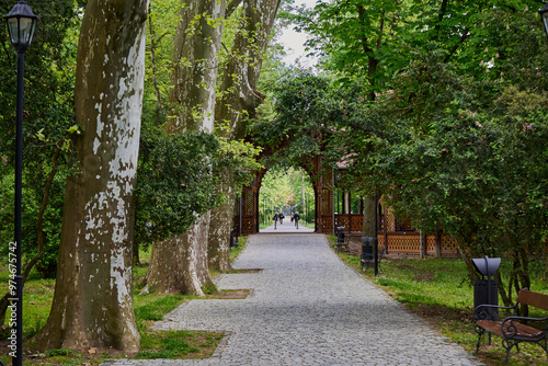 Path in the park in Buzias with lots of greenery and huge plane trees