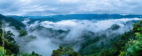 A Misty Mountain View from a Lush Forest, Landscape Photography, Foggy Mountains, Nature, Green Hills , landscape photography , foggy mountains