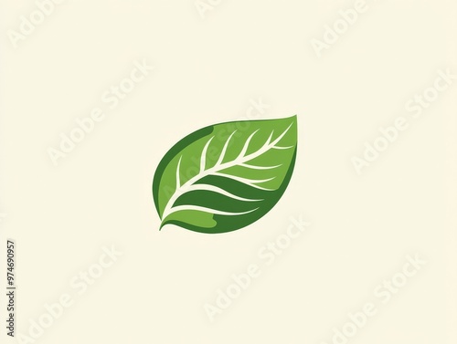 Green Leaf Logo Design.