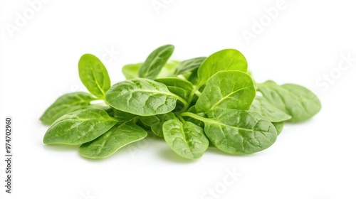 A fresh pile of spinach leaves on a white background, ideal for salads and healthy dishes.