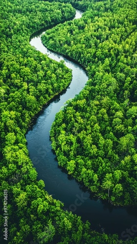 A Serpentine River Winds Through a Lush Canopy, a Verdant Tapestry From Above.