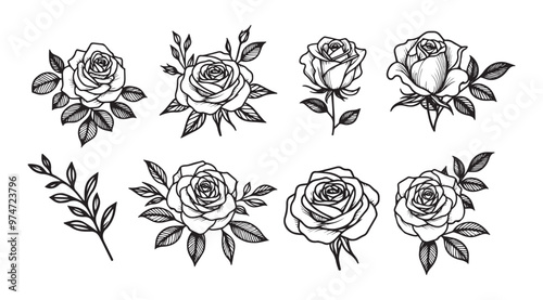 Hand drawn sketch roses set isolated on white background
