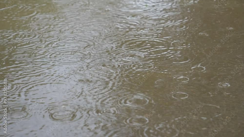 Rain drops falling on a puddle on a street. Rain drops falling on a puddle on a street.