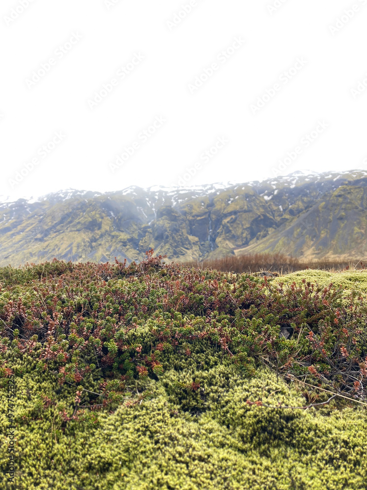 Obraz premium Green Iceland 1