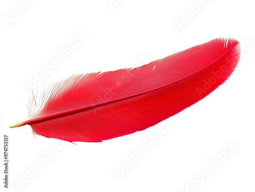 A vibrant red feather isolated on a white background, showcasing its smooth texture and rich color.