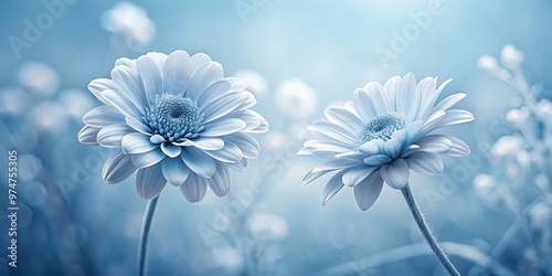 Delicate Blue Flowers in Soft Focus, Pastel Tones, Floral, Nature , Beauty