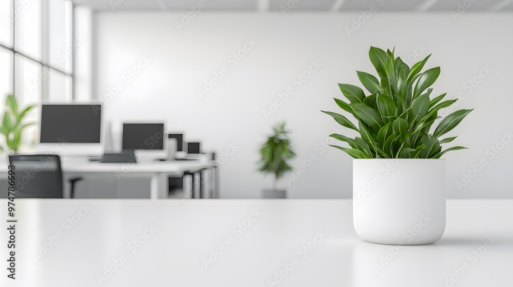A modern office scene featuring a green plant in a white pot, promoting a fresh and productive workspace atmosphere. A modern office scene featuring a green plant in a white pot, promoting a fresh and productive workspace atmosphere.