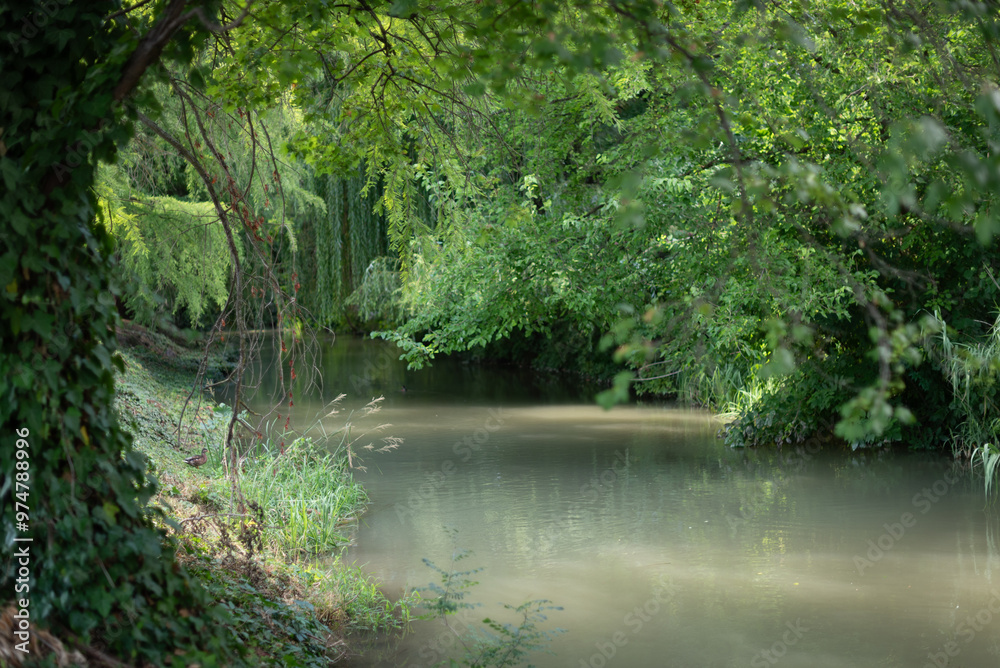 river in the woods river in the woods