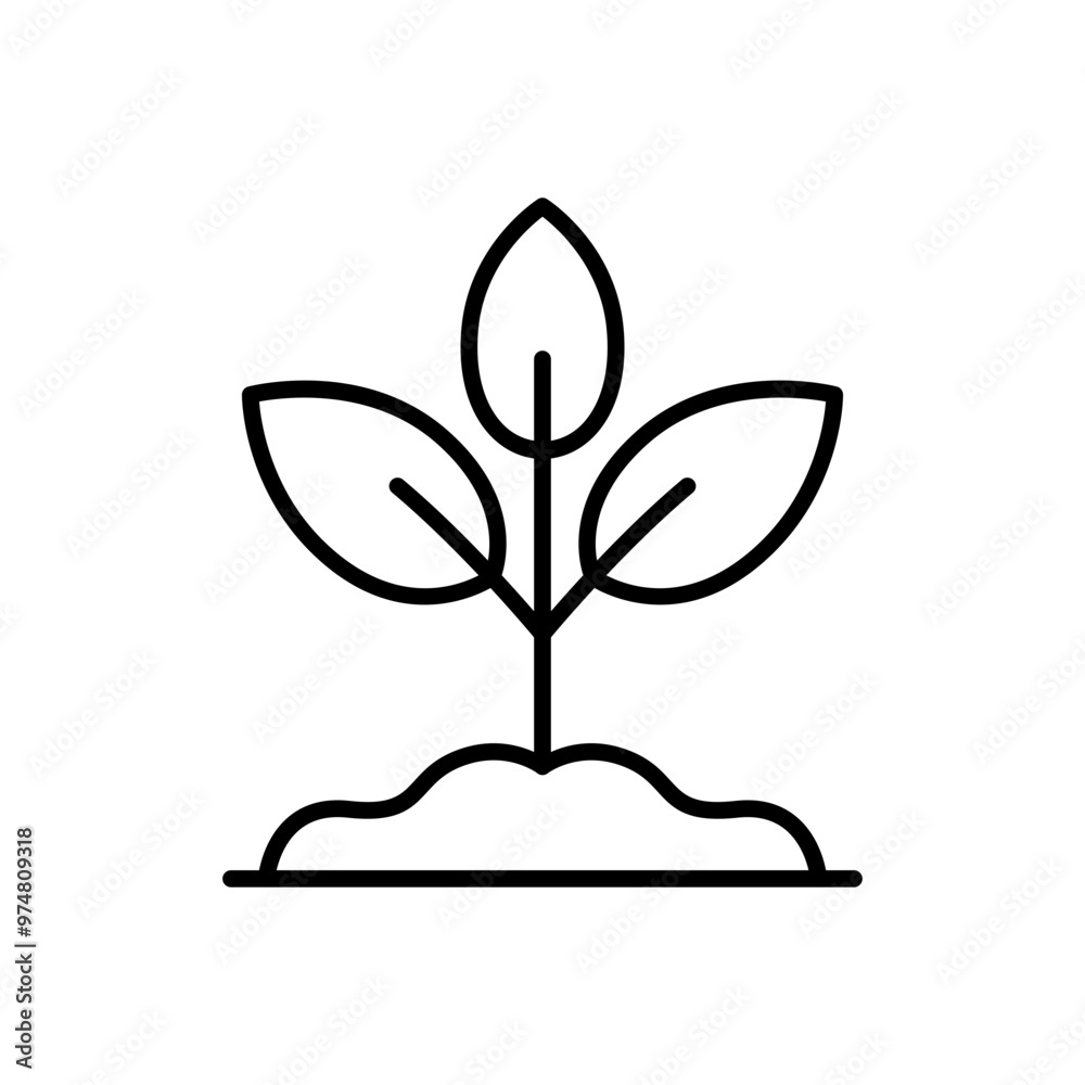 A simple illustration of a plant with leaves and a stem. A simple illustration of a plant with leaves and a stem.