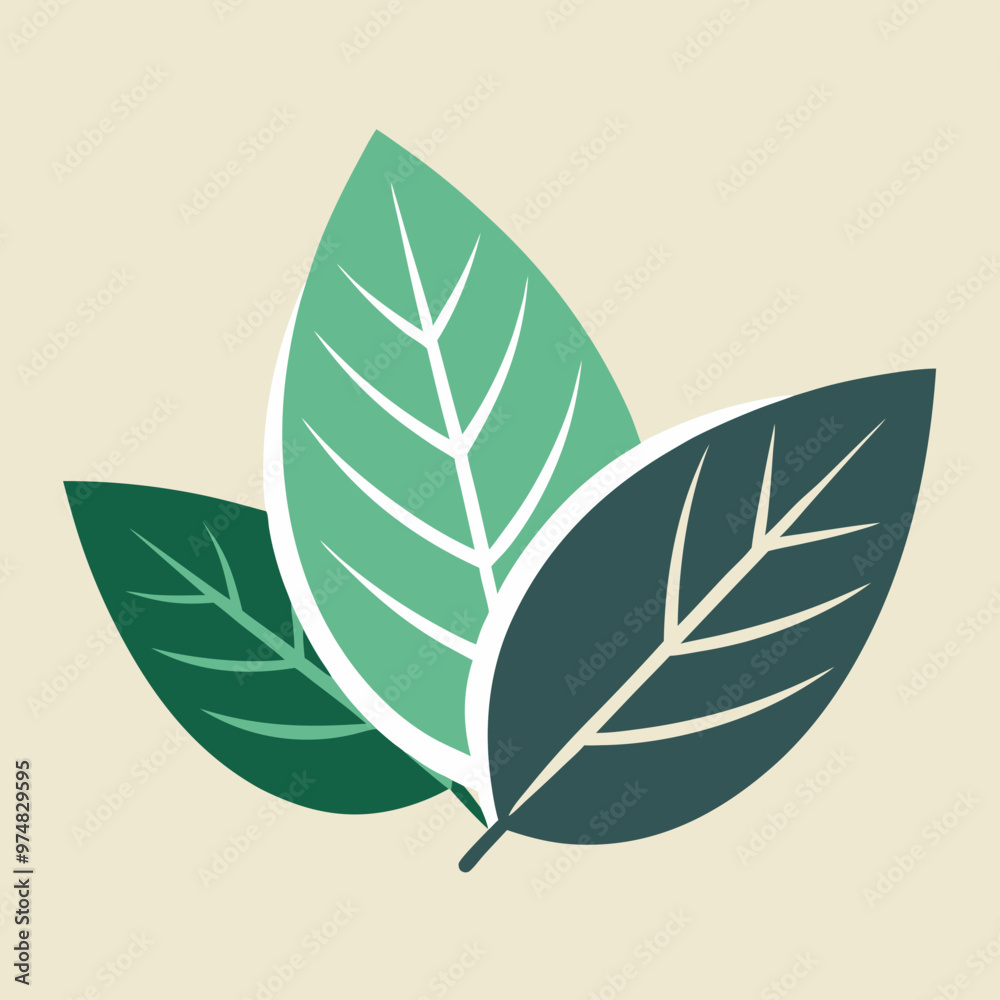 illustration of leaves illustration of leaves