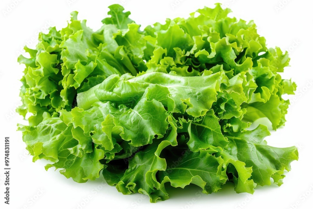 Fresh green lettuce arranged on a clean white surface Fresh green lettuce arranged on a clean white surface