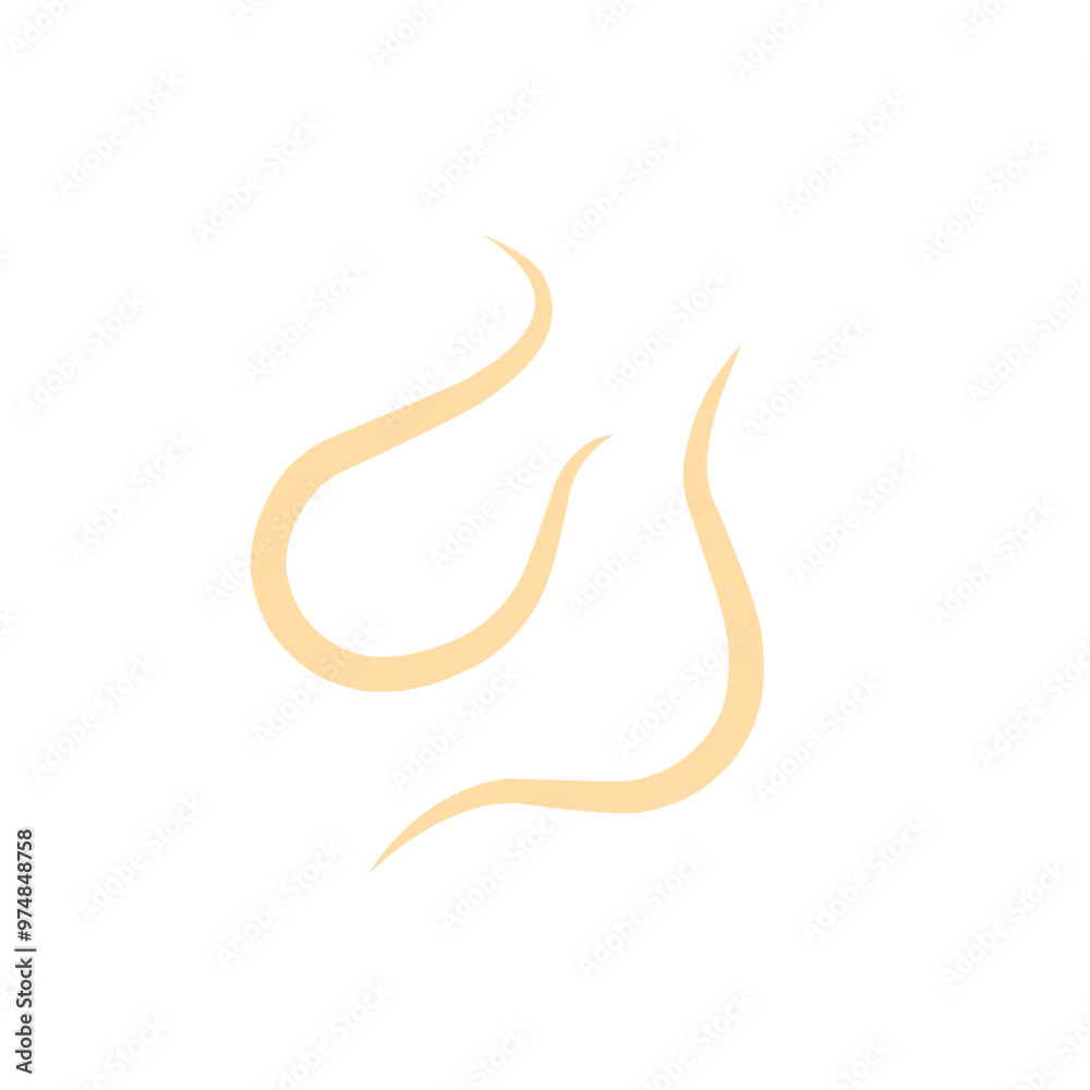 roundworm vector roundworm vector