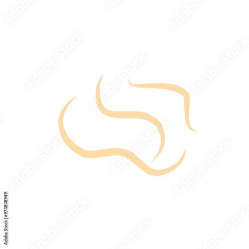 roundworm vector 