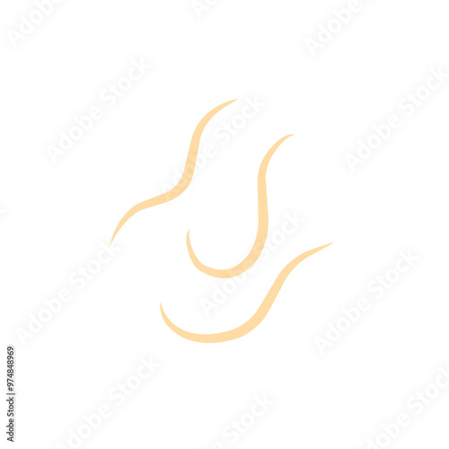 roundworm vector 