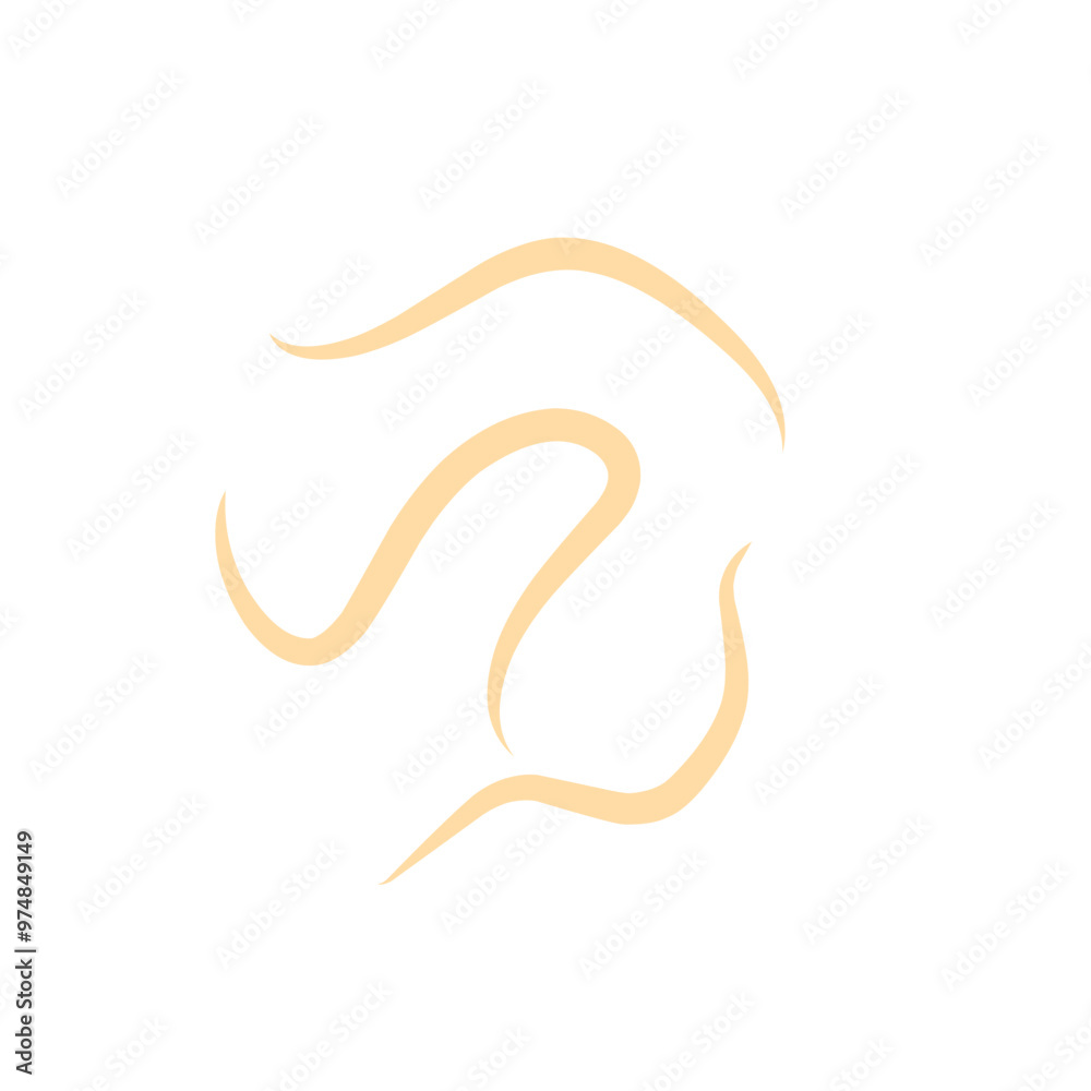 roundworm vector roundworm vector