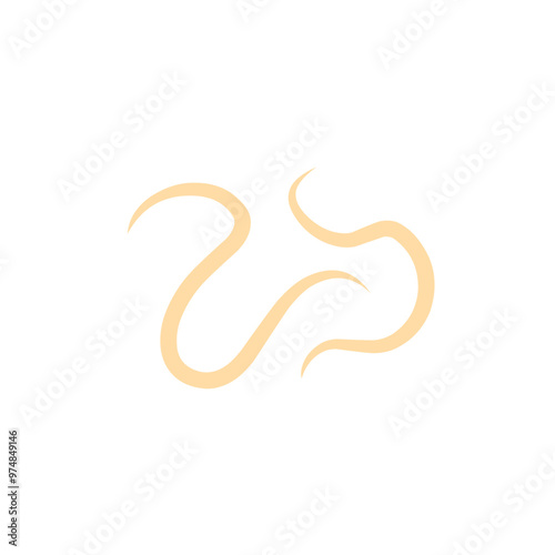 roundworm vector 