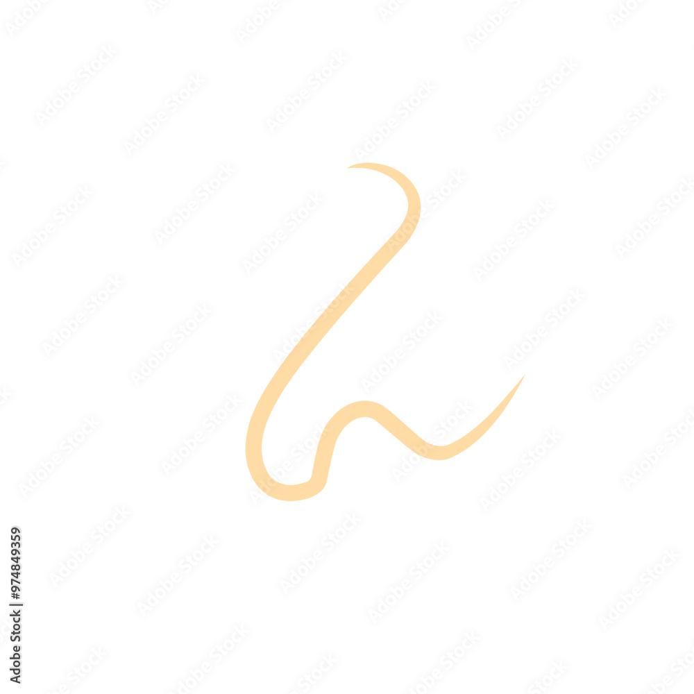 roundworm vector roundworm vector
