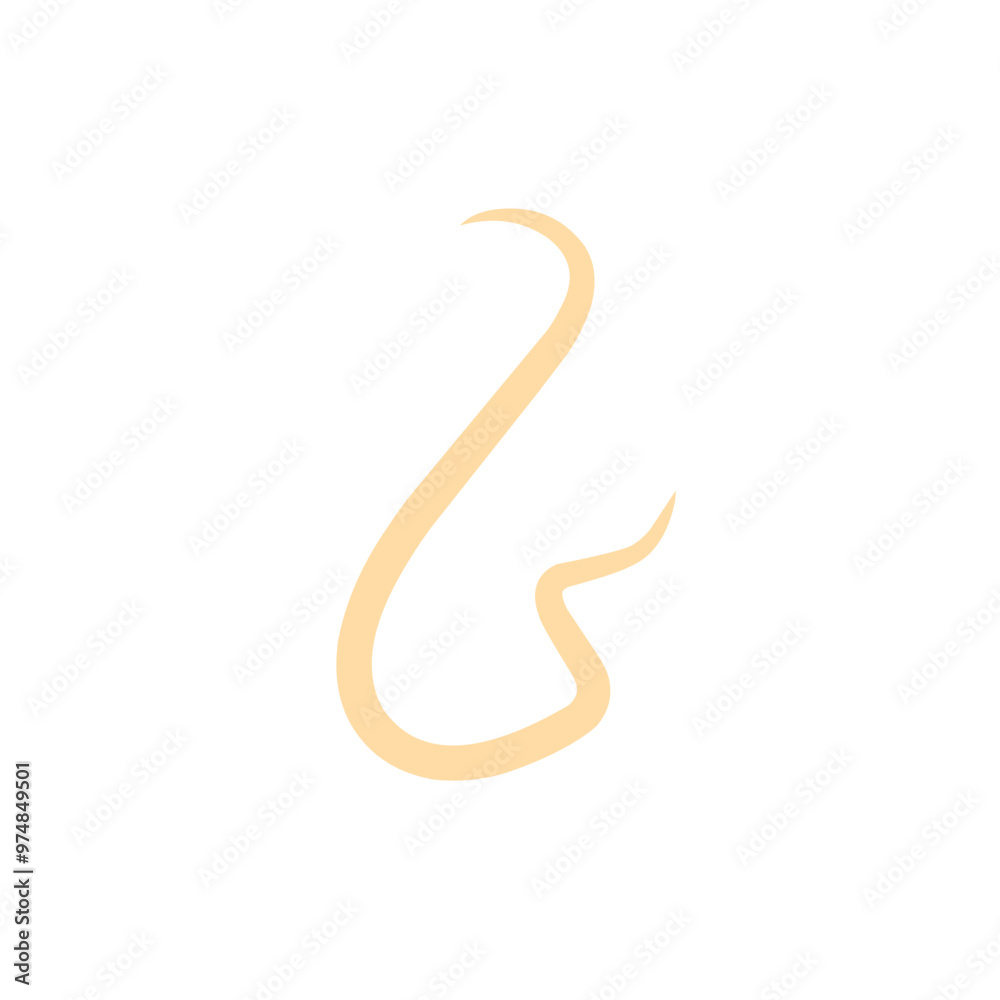 roundworm vector roundworm vector