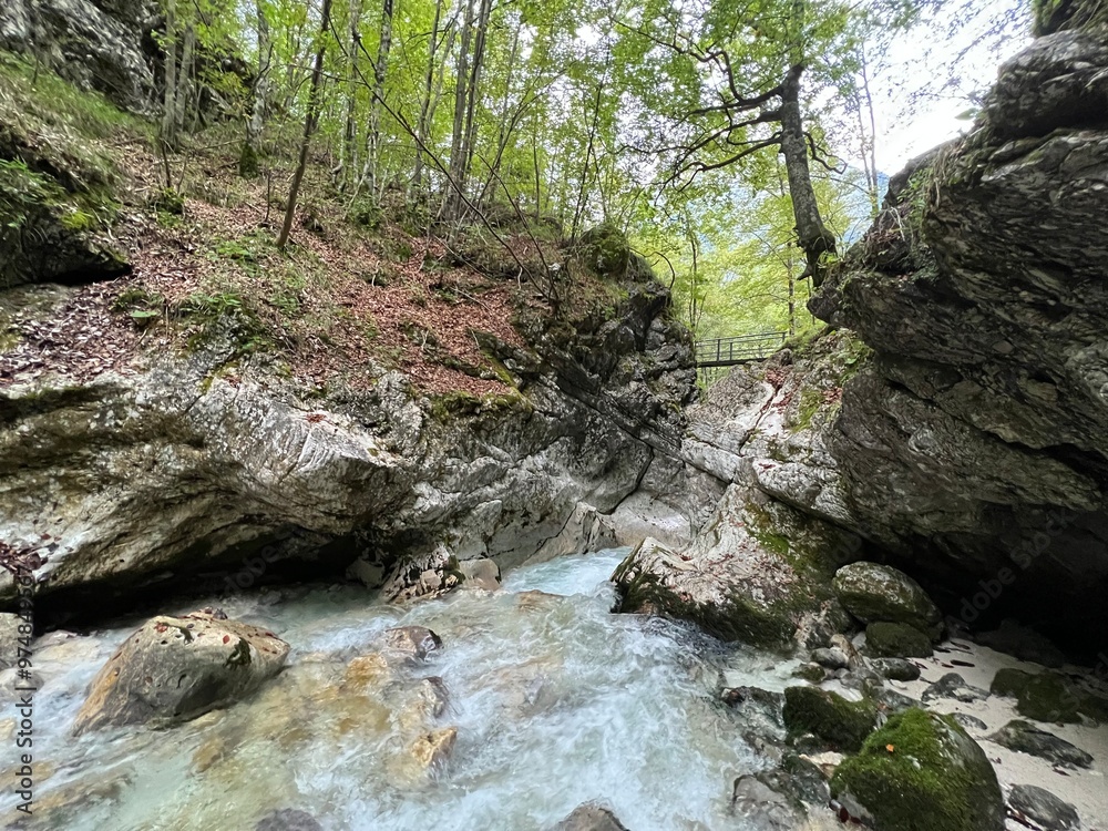 Možnica gorges / Nemčlja canyon (Triglav National Park, Slovenia) - Moznica Tröge / Nemclja Flussbett, Bovec (Triglav-Nationalpark, Slowenien) - Klanac Možnice ali Korita Nemčlje (Narodni park Triglav Možnica gorges / Nemčlja canyon (Triglav National Park, Slovenia) - Moznica Tröge / Nemclja Flussbett, Bovec (Triglav-Nationalpark, Slowenien) - Klanac Možnice ali Korita Nemčlje (Narodni park Triglav
