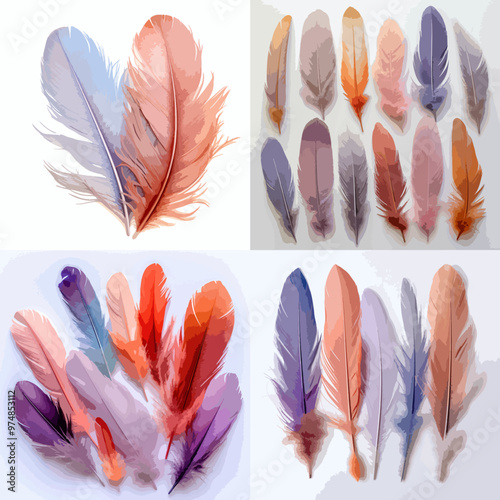 A collection of colorful feathers