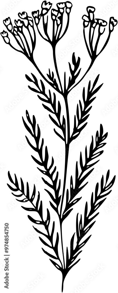 Naklejka premium Botanical abstract line arts. Bouquets of herbs, flowers, leaves and branches. Hand drawn minimal design. Perfect for wallpaper, template, banner, wall decor . Vector illustration