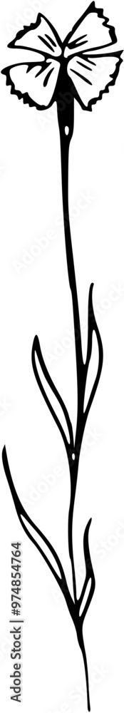 Botanical abstract line arts. Bouquets of herbs, flowers, leaves and branches. Hand drawn minimal design. Perfect for wallpaper, template, banner, wall decor . Vector illustration Botanical abstract line arts. Bouquets of herbs, flowers, leaves and branches. Hand drawn minimal design. Perfect for wallpaper, template, banner, wall decor . Vector illustration