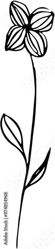 Wallpaper Mural Botanical abstract line arts. Bouquets of herbs, flowers, leaves and branches. Hand drawn minimal design. Perfect for wallpaper, template, banner, wall decor . Vector illustration Torontodigital.ca