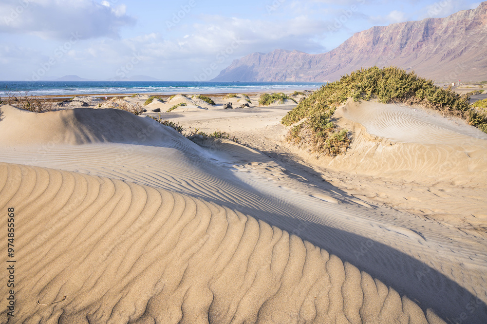 Sand dunes on the beach Famara. Lanzarote. Canary Islands. Spain Sand dunes on the beach Famara. Lanzarote. Canary Islands. Spain