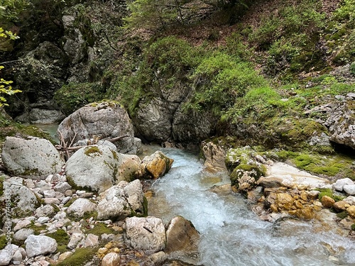 Možnica gorges / Nemčlja canyon (Triglav National Park, Slovenia) - Moznica Tröge / Nemclja Flussbett, Bovec (Triglav-Nationalpark, Slowenien) - Klanac Možnice ali Korita Nemčlje (Narodni park Triglav photo