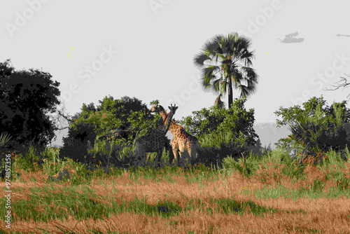 Canvas Print Two giraffes grazing on an African plain.
