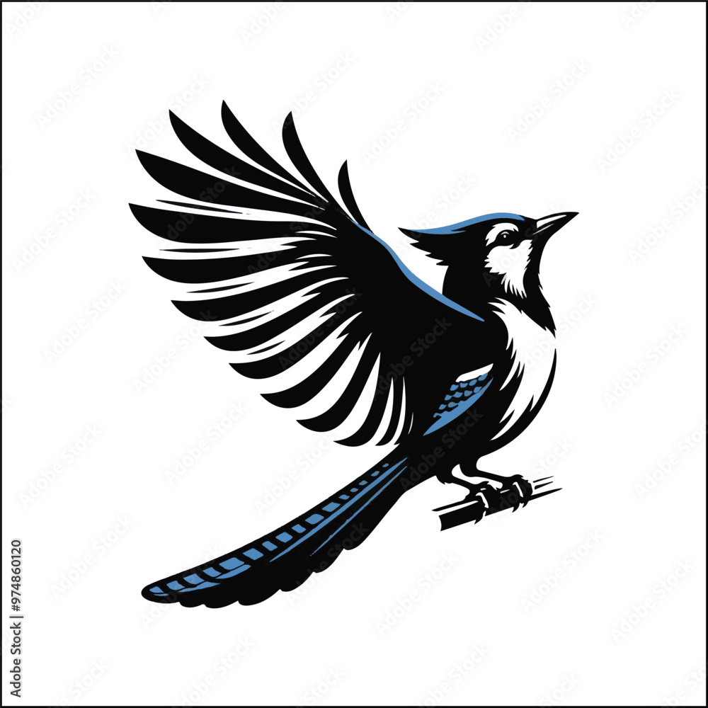 Obraz premium bird, crow, black, animal, wildlife, nature, raven, magpie, beak, white, wild, birds, feather, branch, isolated, avian, feathers blue jay on a branch