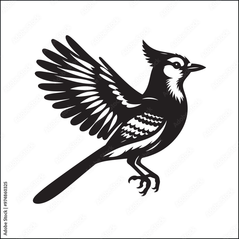 Fototapeta premium bird, crow, black, animal, wildlife, nature, raven, magpie, beak, white, wild, birds, feather, branch, isolated, avian, feathers blue jay on a branch