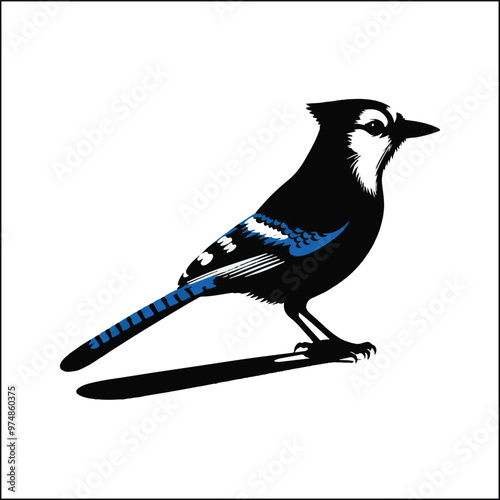 bird, crow, black, animal, wildlife, nature, raven, magpie, beak, white, wild, birds, feather, branch, isolated, avian, feathers
blue jay on a branch