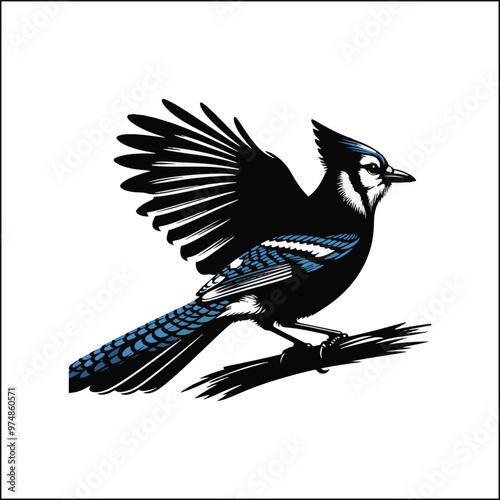 bird, crow, black, animal, wildlife, nature, raven, magpie, beak, white, wild, birds, feather, branch, isolated, avian, feathers
blue jay on a branch