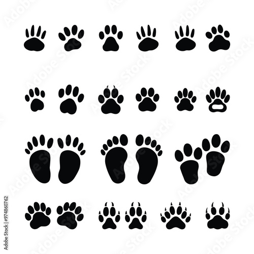 Seamless paw footprint icon different wild animals prints silhouette style, vector illustration, full set