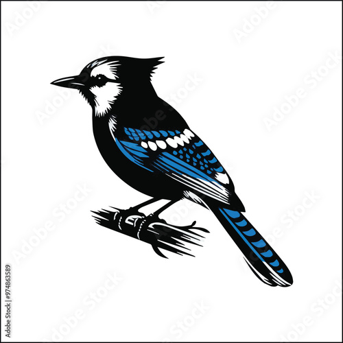 bird, crow, black, animal, wildlife, nature, raven, magpie, beak, white, wild, birds, feather, branch, isolated, avian, feathers
blue jay on a branch